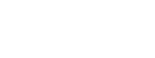 Homzdone